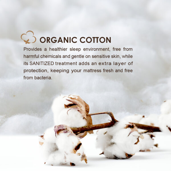 Organic Forrest - Image 3
